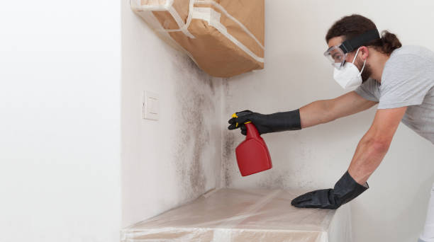 Professional Basement Mold Remediation technician working in Rutherford, TN