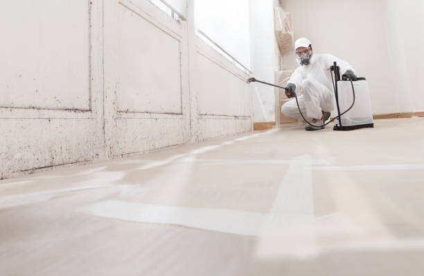 24/7 Emergency Basement Mold Remediation experts in Rutherford, TN